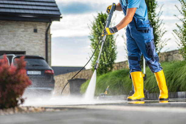 Best Soft Washing for Delicate Surfaces in Lemay, MO